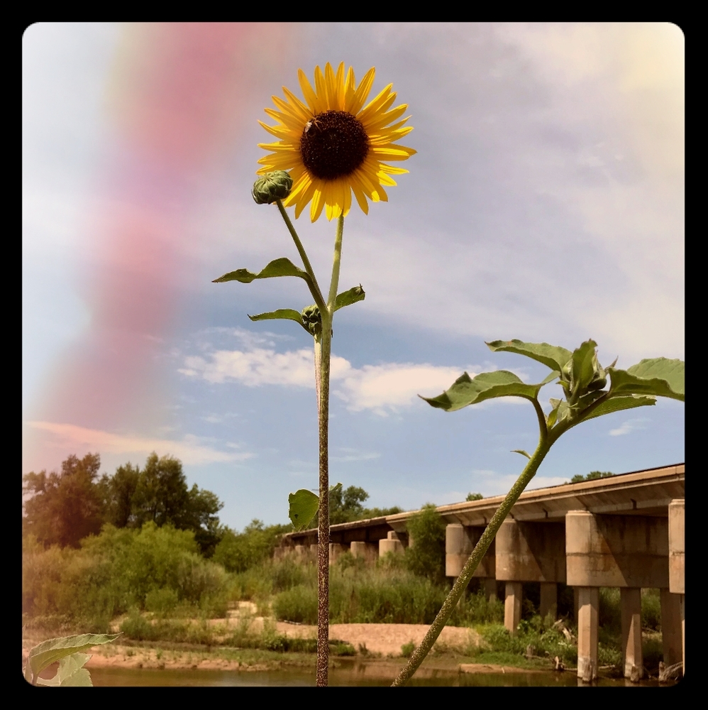 Meet your Posher, Ash